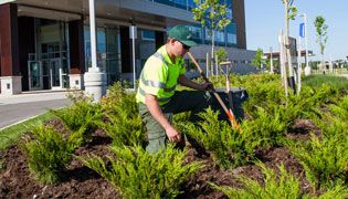 Spring and Fall Property Cleanup