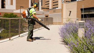 Spring and Fall Property Cleanup