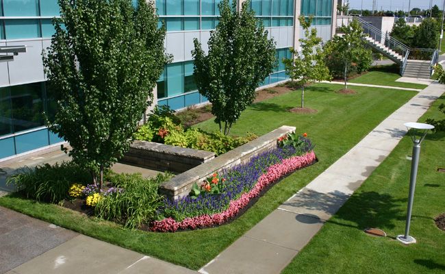 Clintar Commercial Landscaping