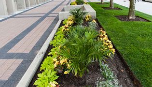 Flower Bed Maintenance