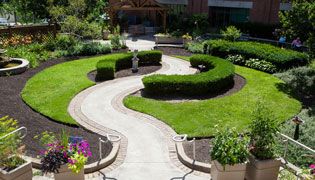 Flower Bed Creation