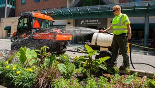 Garden Maintenance